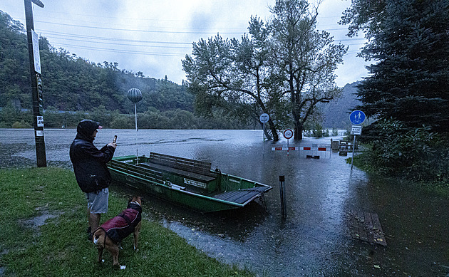 Ryby cítí povodeň předem. Do horních toků už se nevrátí, říká ichtyolog