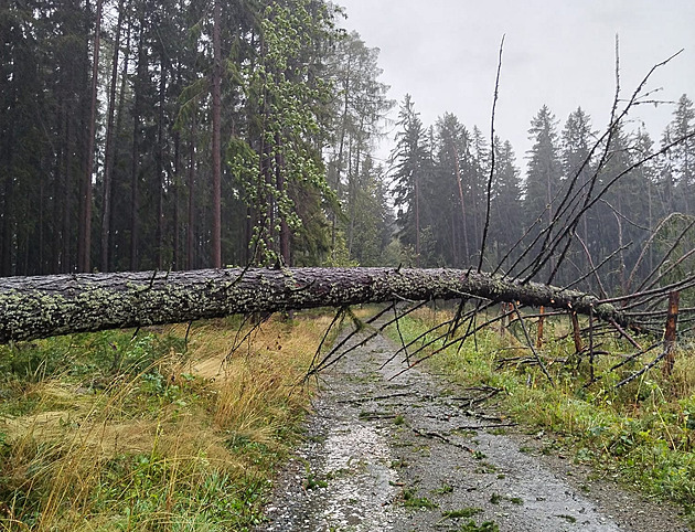 Povodně očima techniků operátorů. Při obnově pokrytí pomáhají hasiči i armáda