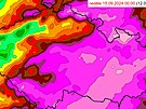 hrn srek od tvrtka do nedle v modelu Aladin. (12.-15. z 2024)