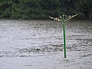 Rozvodnn eka Doubrava v Blku na Havlkobrodsku. (15. 9. 2024)