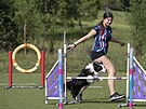 Elena Hlobilov� p�i tr�ninku agility s psem Am�lkou na provizorn�m h�i�ti ve...