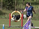 Elena Hlobilov� p�i tr�ninku agility se psem Am�lkou na provizorn�m h�i�ti ve...