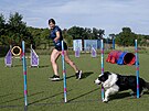 Elena Hlobilov� p�i tr�ninku agility se psem Am�lkou na provizorn�m h�i�ti ve...