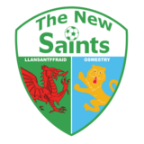 Logo The New Saints