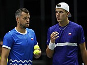 Adam Pavlásek (vlevo) a Jakub Meník ve tyhe v utkání skupiny Davis Cupu ve...