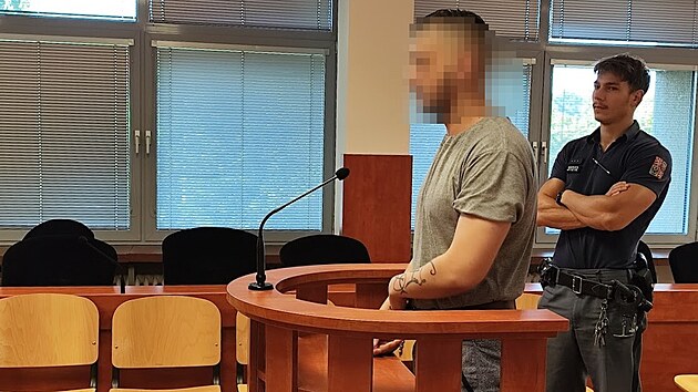 Mu si podle obaloby po hdce s drukou vzal jako rukojm jejich tmsn dt a hrozil, e s nm vysko z okna. Ppad zaal projednvat Krajsk soud v st nad Labem. (19. z 2024)