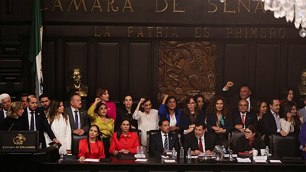 Opozin sentoi protestuj za pedsednickm stolem Sentu v nhradn budov. Do t pvodn vnikli pi projednvn velmi spornho nvrhu reformy soudnictv demonstranti. (10. z 2024)