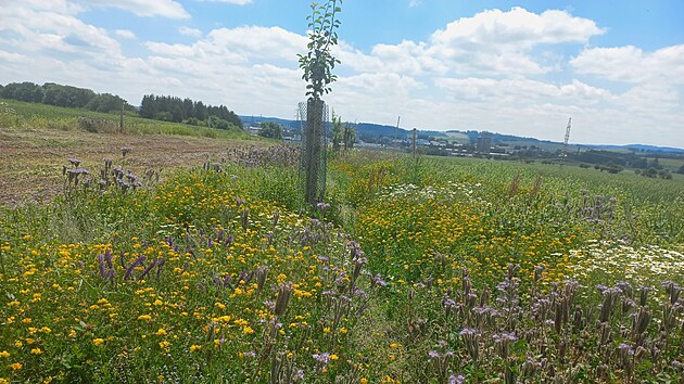 Aby biop�s z�stal druhov� pestr�, co se �ivo�ich� i rostlin t�k�, prob�h� na n�m f�zov� se�. 