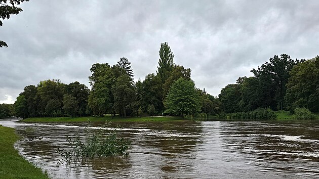 Zvednut hladina eky Labe na soutoku s Orlic v Hradci Krlov (14.9.2024)