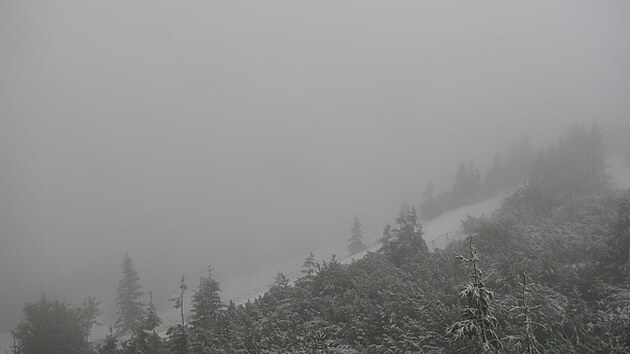 Prvn� sn�h u Labsk� boudy (13. z��� 2024)