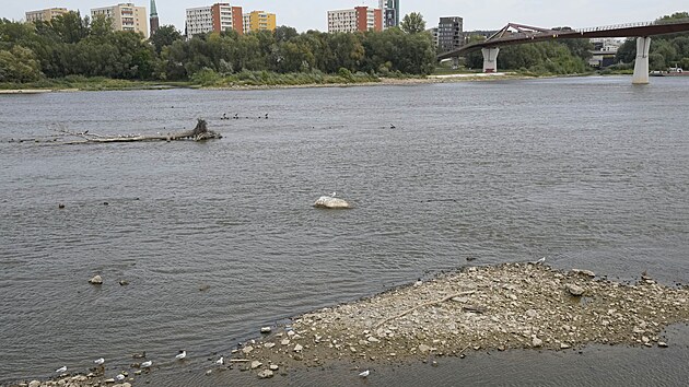 Hladina polsk� �eky Visly klesla na rekordn� �rove�. V centru Var�avy dosahovala jen 24 centimetr�. (9. z��� 2024)