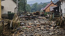 Loské záplavy zneistily i vodu z tetiny testovaných vodovod, uvedli hygienici.