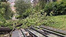 Popadané stromy na trati lanové dráhy na pra�ský Pet�ín. Provoz lanovky...