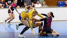 Denisa Vyslou�ilová z DHC Plze� se probíjí obranou v zápase s Dunajskou Stredou.