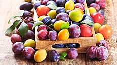 Slívy, blumy, vestky. Jak je co nejlépe vyuít v kuchyni?