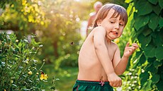Pom�rn� roz�í�ená nejen mezi d�tmi je fobie z vos, známá jako sfexofobie. Tento...