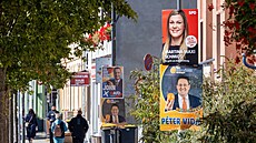 Volební plakáty stran AfD, SPD a Freie Waehler pro zemské volby v Braniborsku....