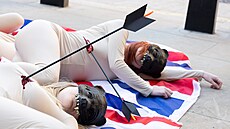 Aktivisté z organizace PETA p�i protestu proti pou�ívaní ko�e�in z medv�da...