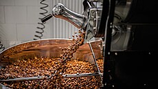 V jednoduchosti je síla. Prost vezmeme peliv vybrané oechy, ty upraíme a...