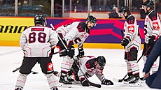 Spar�anský úto�ník Michal Vitouch (37) kle�í po tvrdém zásahu na led�, sklání...