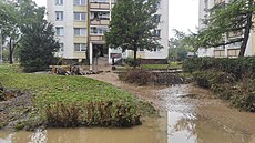 Na snímku opadající voda v Opav�. Sídli�t� Kate�inky. (16. zá�í 2024)