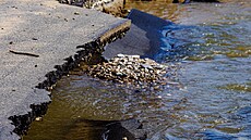 Na snímku jsou následky povodní v obci Lipová-lázn�. (17. zá�í 2024)