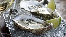 Normansk stice s omkou sukiyaki