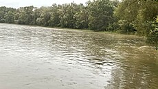 Choce�tí hasi�i museli b�hem povodní mezi Plch�vkami a Újezdem vysvobozovat...