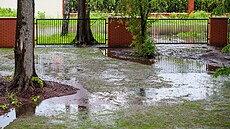 Po�kejte a� voda opadne, pak jako první zkontrolujte v�echny d�eviny. 