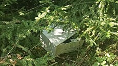 Z firmy, v ní� byla zam�stnána, �ena i s kumpány odcizila trezor. Po jeho...