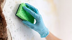 Ilustra�ní fotografie