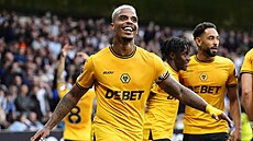 Fotbalisté Wolves se radují z gólu do sít� Newcastlu.