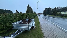 Troubky na P�erovsku. (16. zá�í 2024)