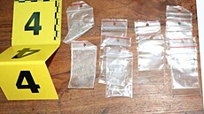 Toxi tým zadrel v ervnu sedm dealer drog. Podle serveru Hlídací pes mla být...