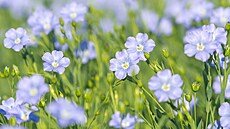 ilustra�ní snímek