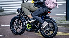 Fatbikes, takzvaná �tlustá kola�, se podobají motorkám a dová�í se z �íny.