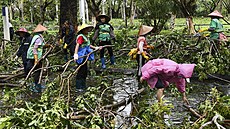 D�lnice v Hanoji odstra�ují spadlé v�tve strom� po tajfunu Yagi. (7.zá�í 2024)