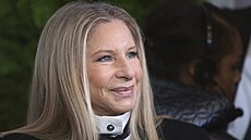 Barbra Streisandová (11. listopadu 2013)