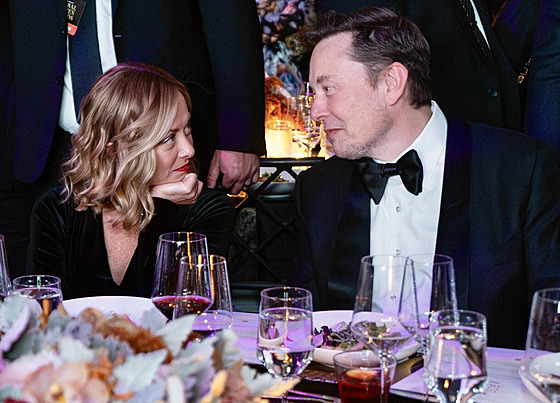 Americký podnikatel Elon Musk pedal cenu Global Citizen Award italské...