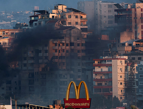 Kou� nad ji�ním Libanonem po izraelském útoku uprost�ed pokra�ujících...