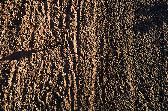 Zambie, Zimbabwe a Malawi vyhlásily národní katastrofu kv�li silnému suchu,...