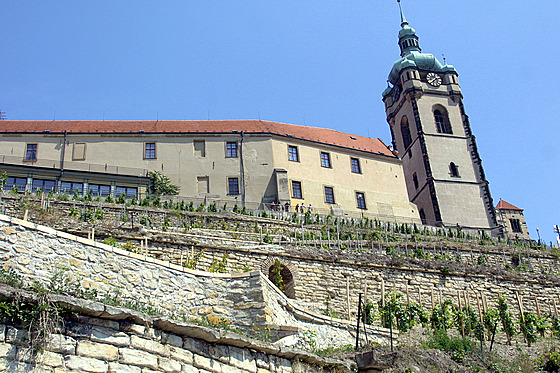 Mlnické vinobraní