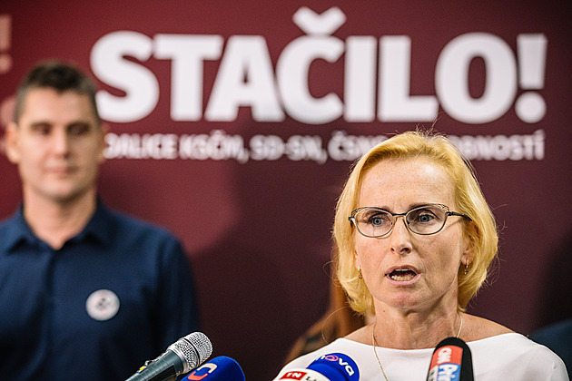 Stačilo! v Libereckém kraji chybělo 9 hlasů. O volbách rozhodne Ústavní soud