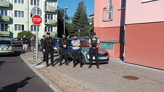 Týrané štěně se uškrtilo vodítkem. K soudu dorazily davy, lidé žádají přísnější tresty