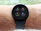 Samsung Galaxy Watch FE
