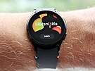 Samsung Galaxy Watch FE