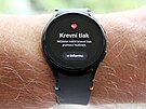 Samsung Galaxy Watch FE