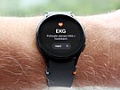 Samsung Galaxy Watch FE