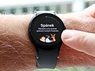 Samsung Galaxy Watch FE