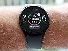 Samsung Galaxy Watch FE